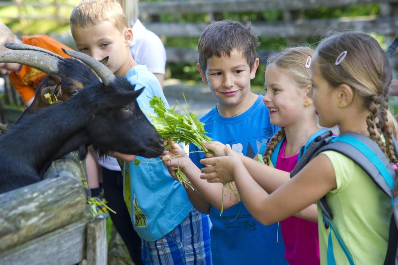 Ferienwohnung Prokosch Kirchdorf in Tirol Zewnętrze zdjęcie